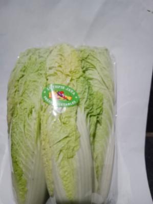 Sayuran