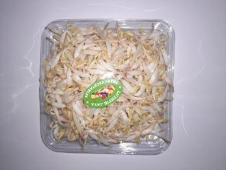 Sayuran